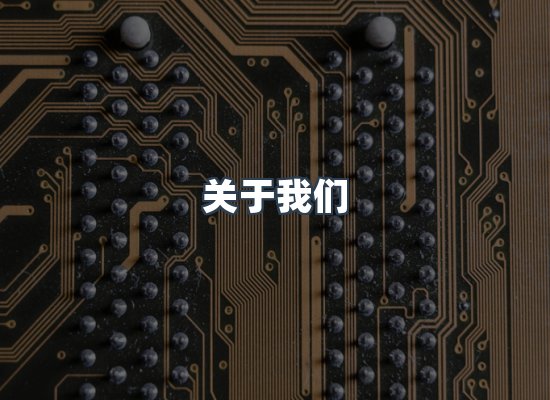 专业团队